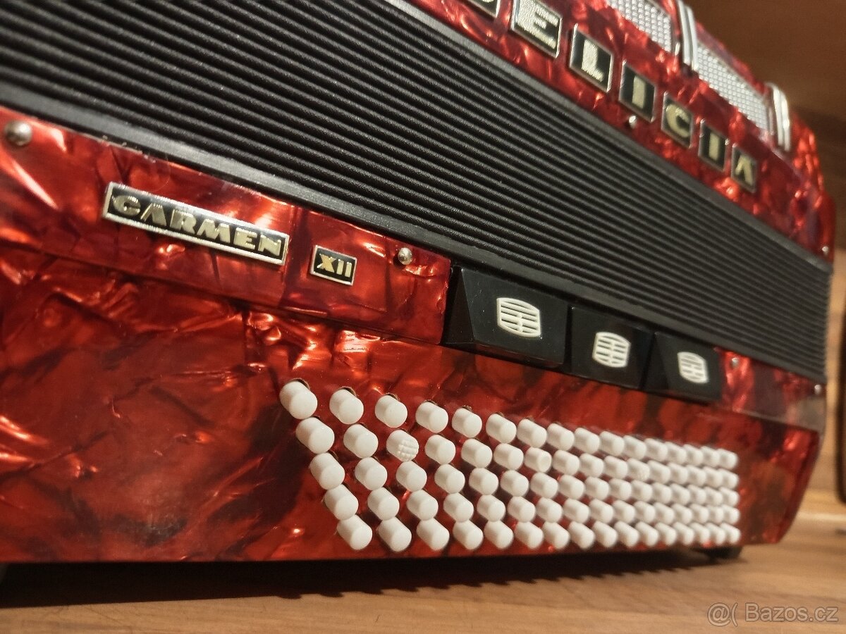 Akordeon (harmonika, heligonka) Delicia Choral IV 120 basů - 3