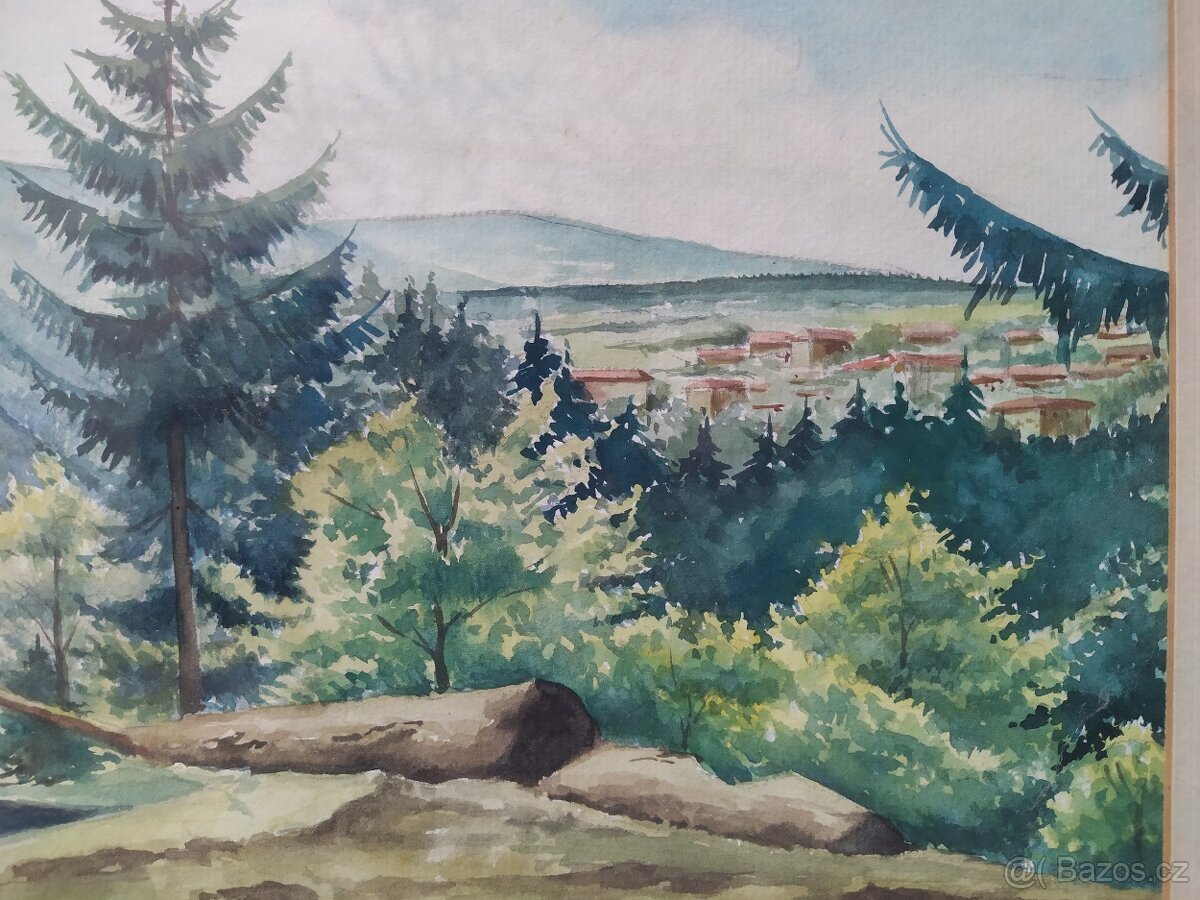 Obraz Akvarelová malba 55×45cm. signová - 3
