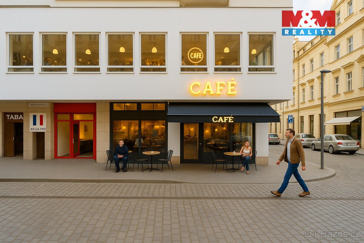 Pronájem restaurace, 182 m², Plzeň centrum - 3