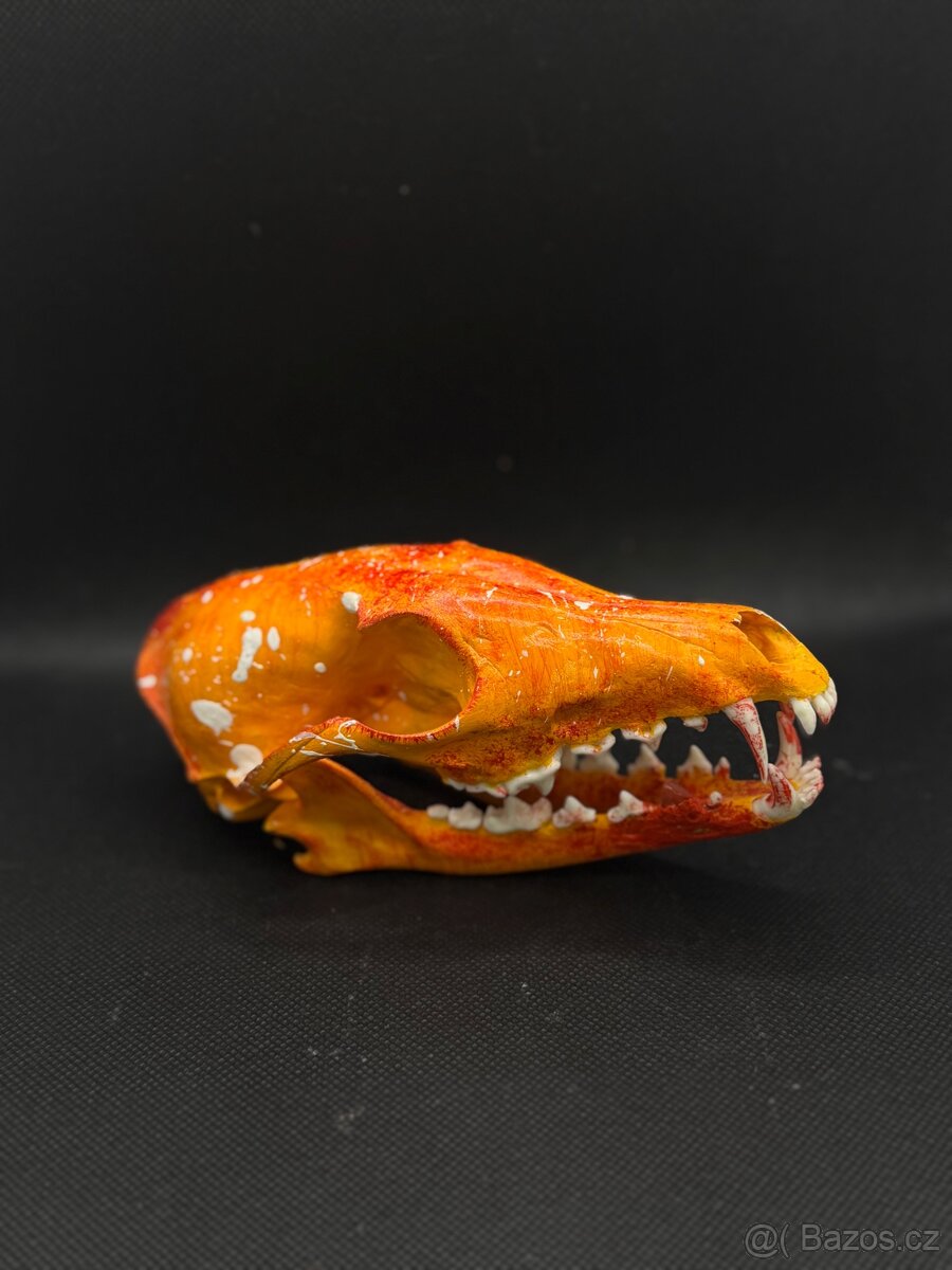 Lebka, dekorace, pohanství, - 3