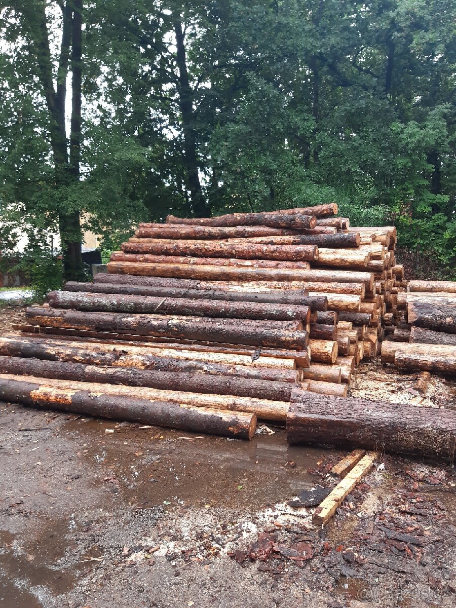 Akce štípané palivové dřevo s dopravou zdarma - 3