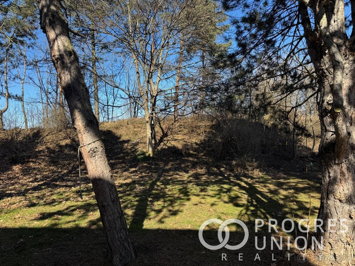Prodej pozemku, Říčany u Prahy - 3