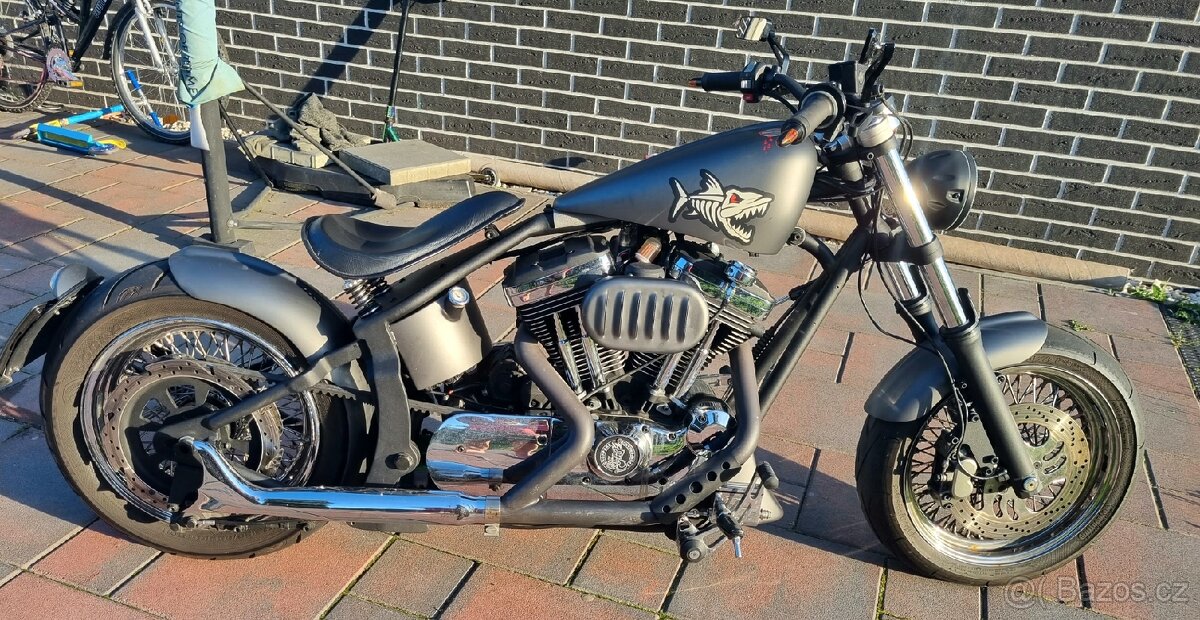 Harley Davidson Softail Custom 1200 - 3