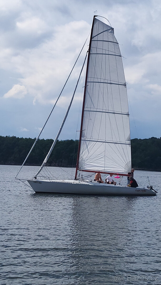 Plachetnice závodní Asso 99 - 3