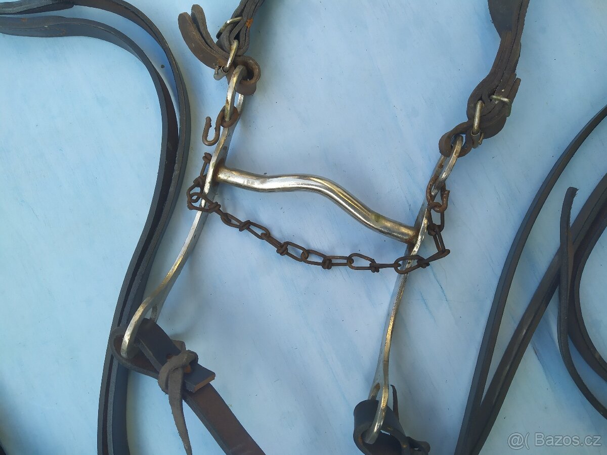 Western otěže, pákové udidlo, hackamora - 3