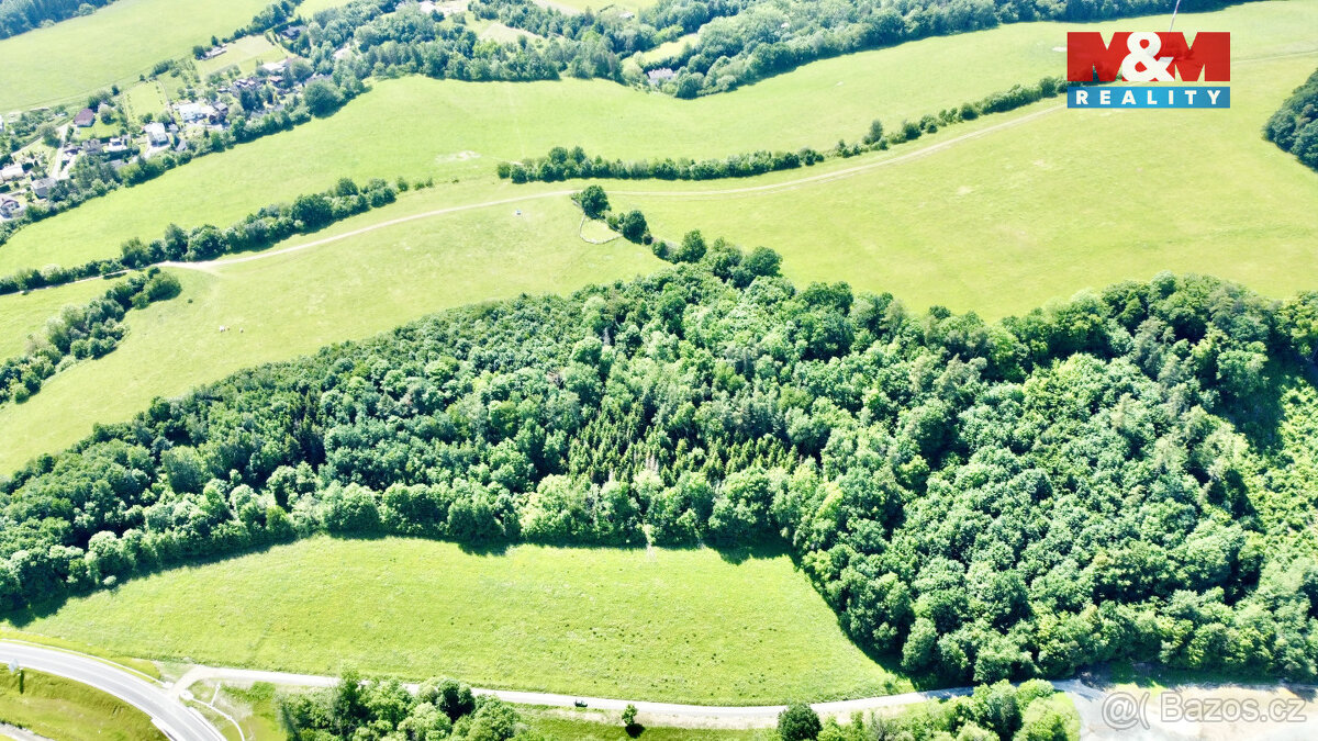 Prodej lesa, 12990 m², Vyšehoří - 3
