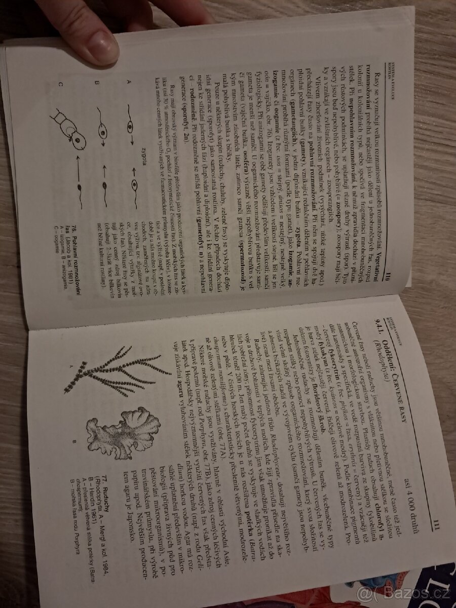 Biologie člověka pro gymnázia - 3