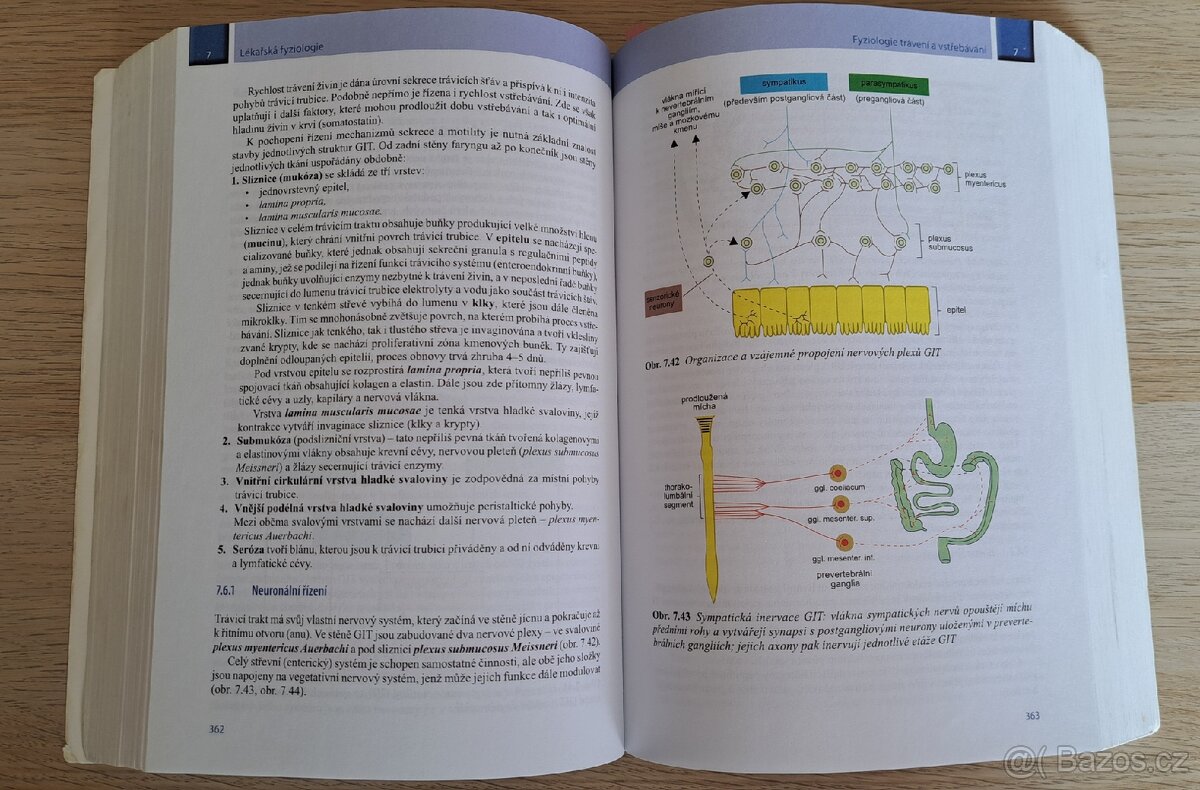 Lékařská fyziologie - 3