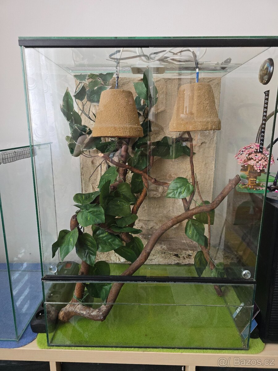 Terárium - 3