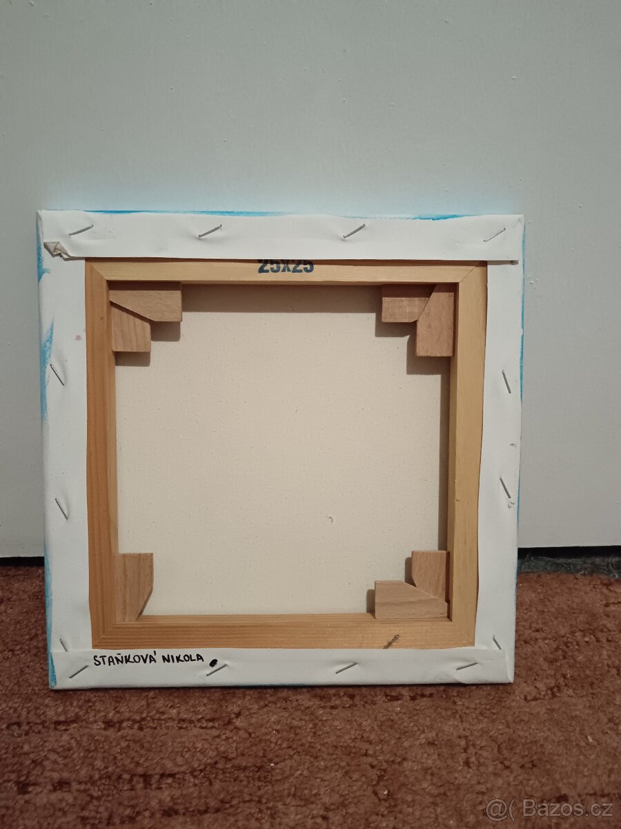 Obraz na plátně - 3