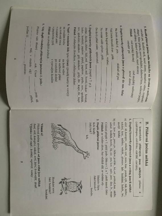 Pravopis přídavných jmen - 3