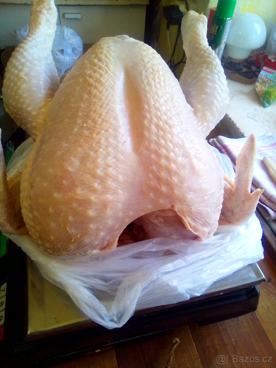 Domácí vykrmená kuřata-výkrm 120 dnů a více, lahodné maso. - 3