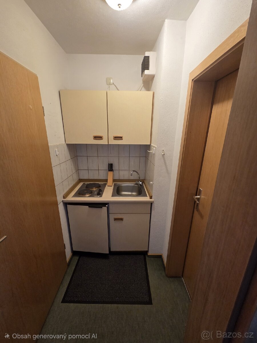 Byt Zwiesel 1+kk - 3