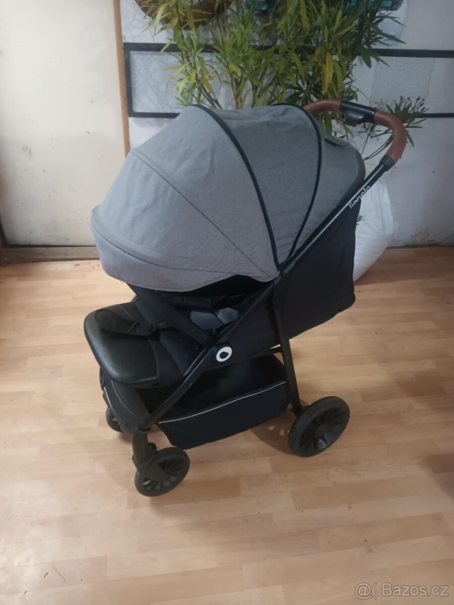 Kočárek Lionelo - 3