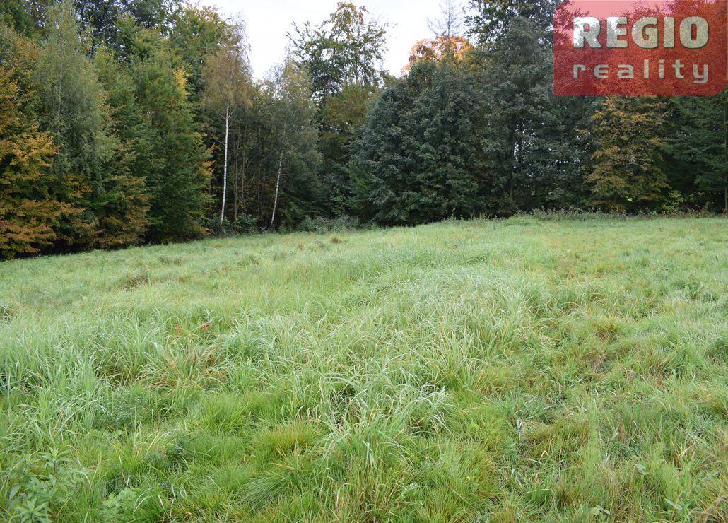 Prodej stavebního pozemku s lesem 3332m2 na Karpentné - 3