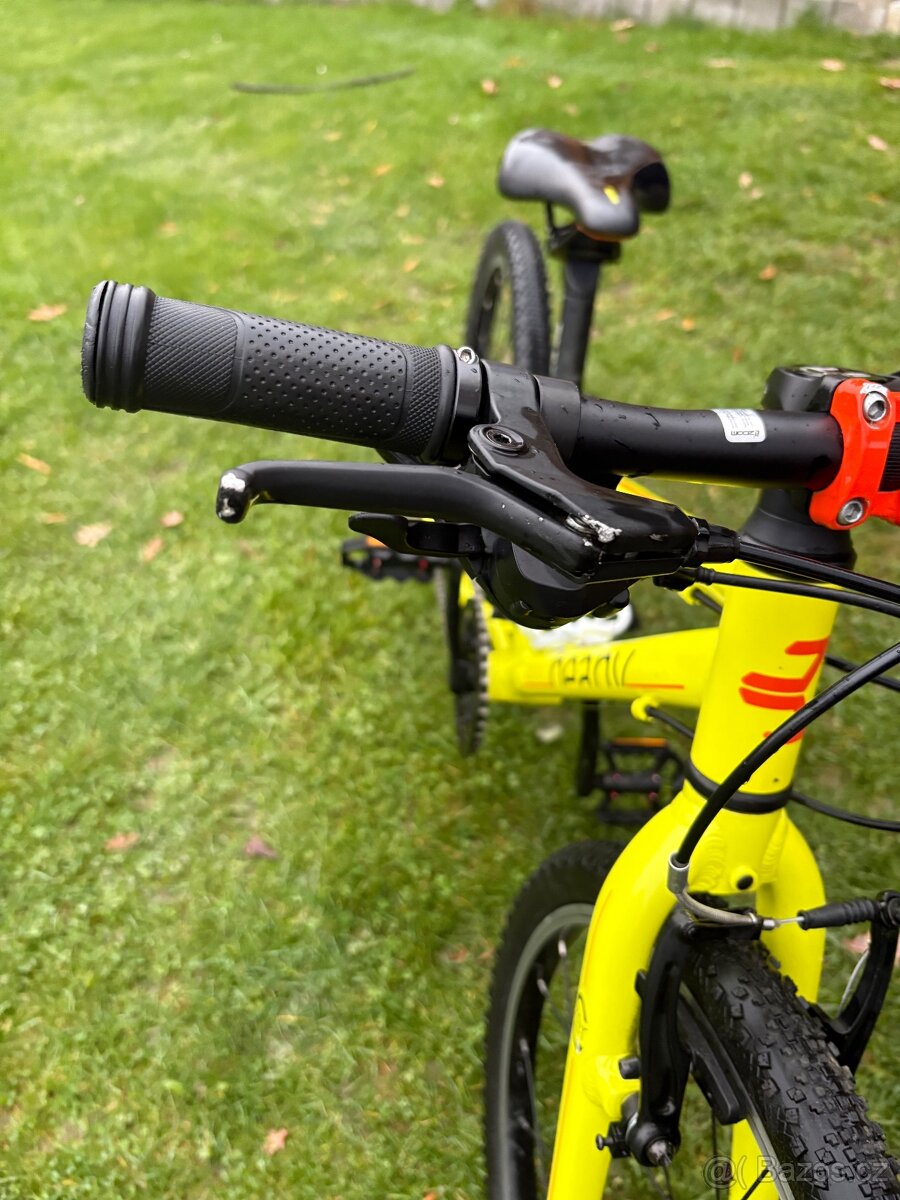 Kolo Beany Zero 20” - 3