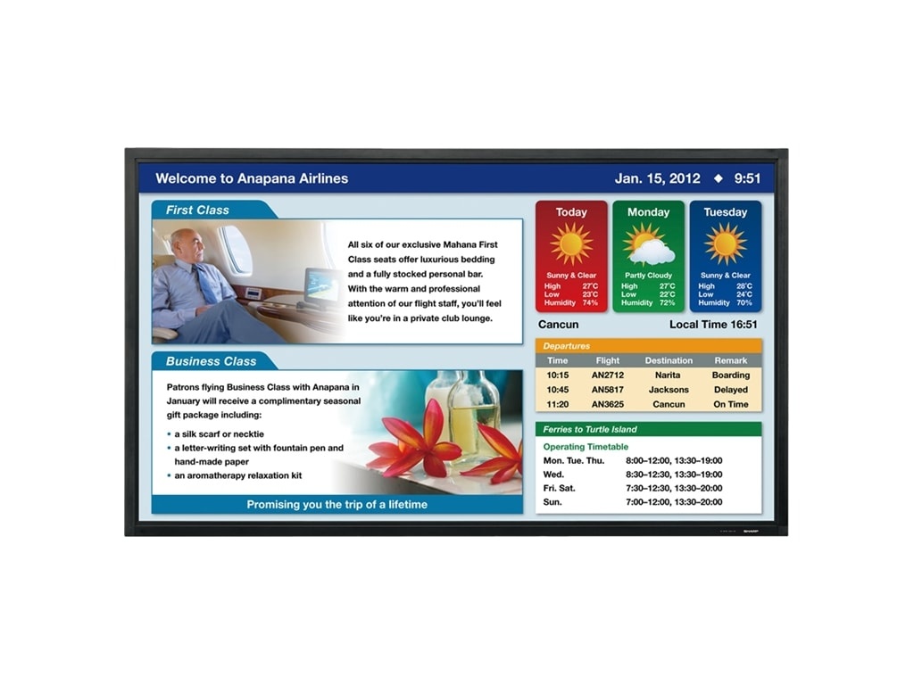 Sharp PN-E602 - 60" / 152,4 cm monitor - 3