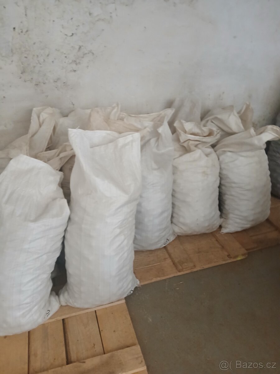 Sadbové brambory Antonie - 3