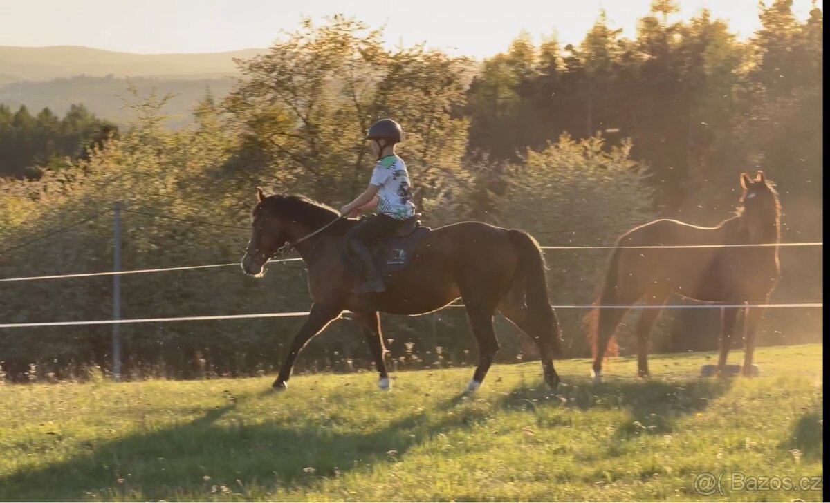 pony klisna - 3