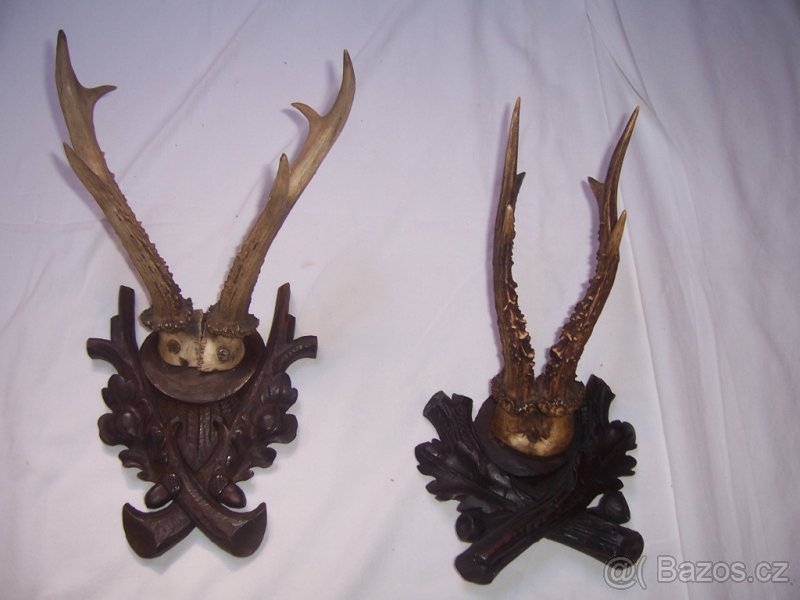 Prodám paroží - 3