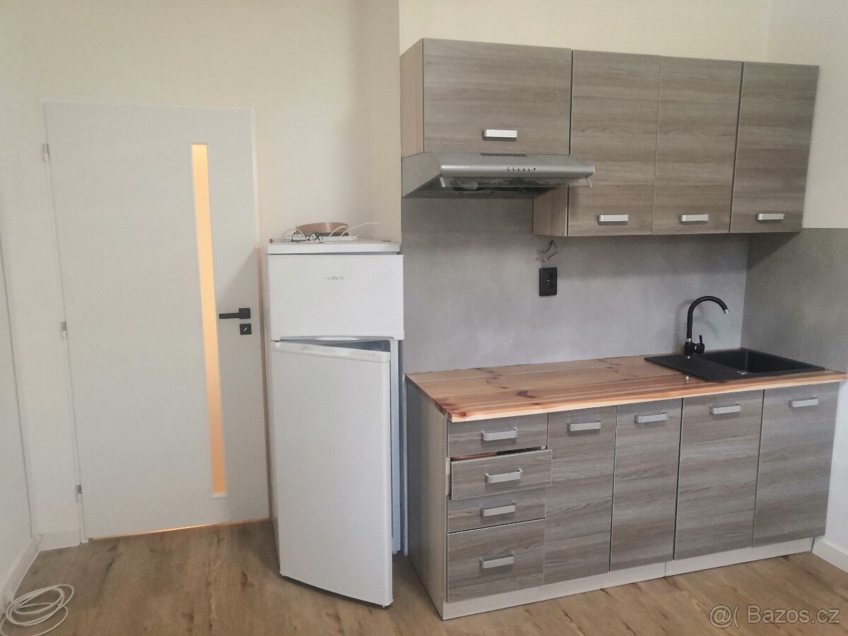 Pronájem bytu 1kk vše v ceně - 3