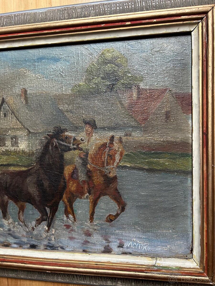 Obraz koně Vacatko - 3