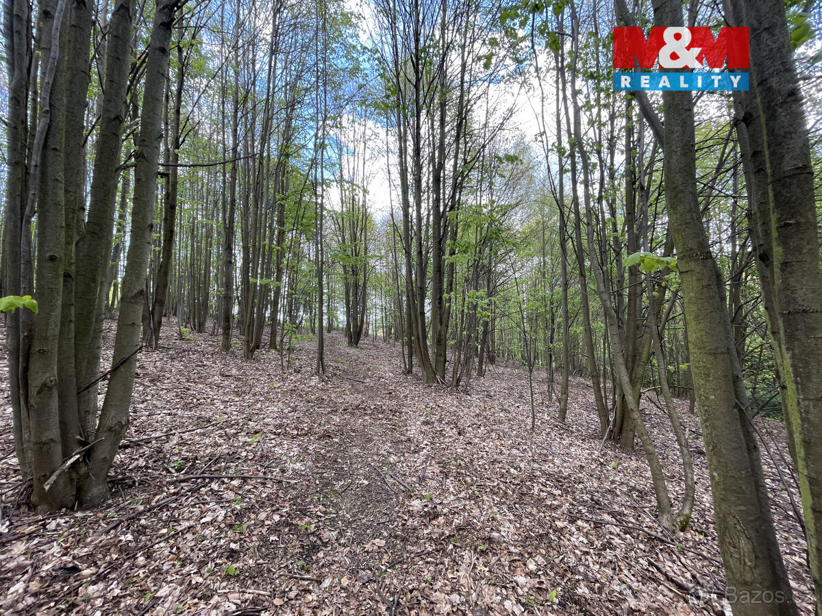 Prodej zahrady, 2545 m², Chrastava, Andělská Hora - 3