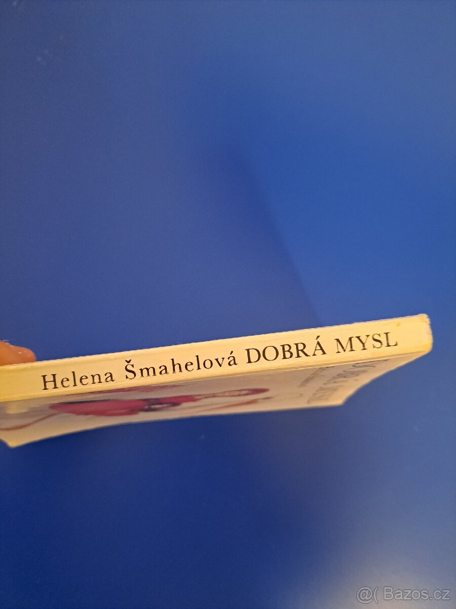 Kniha DOBRÁ MYSL - 3