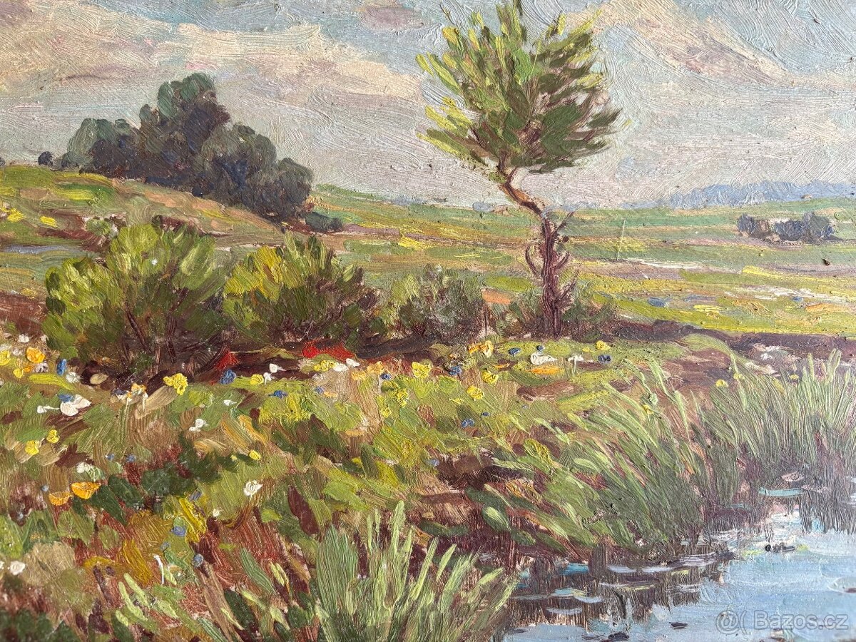 Obraz řeka Sázava, olejomalba na desce 44x75 - 3