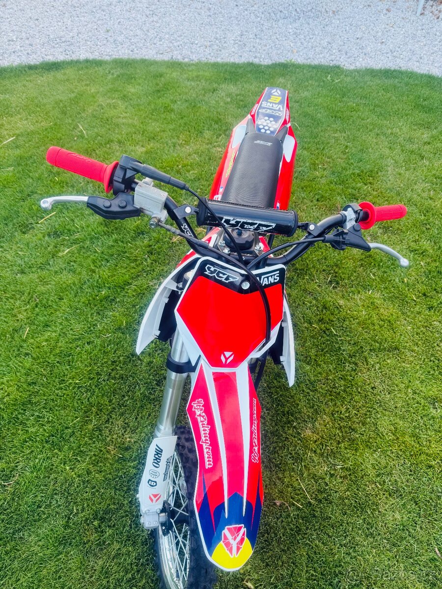Pitbike YCF Pílot SF 155
