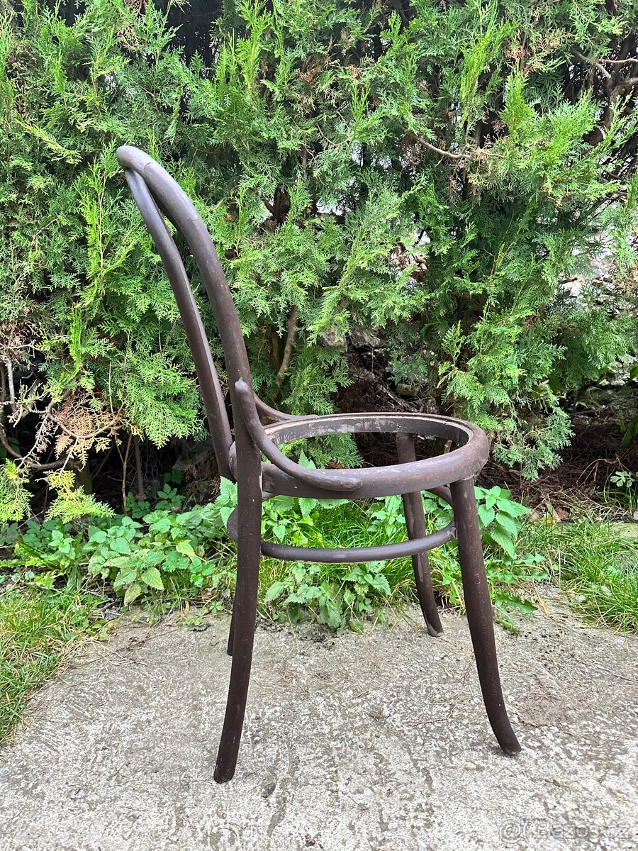 Židle z ohýbaného dřeva - Thonet (2 ks) - 3