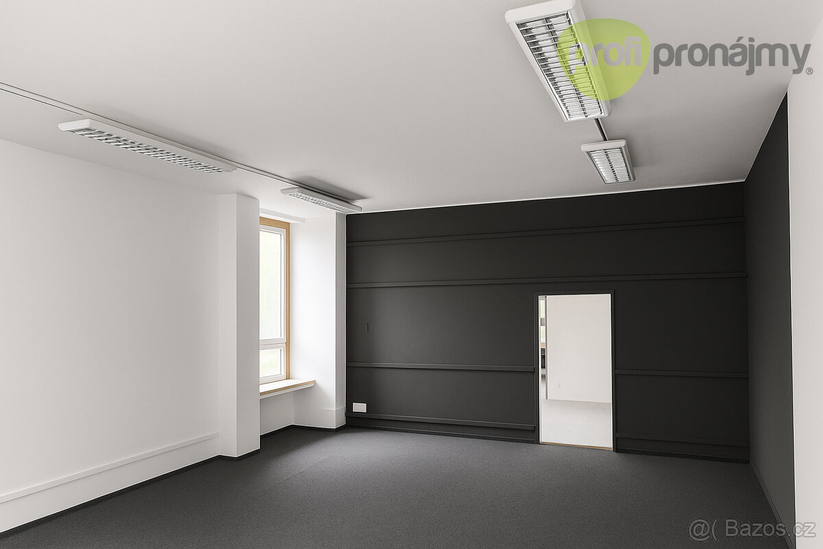 Pronájem přízemního obchodního prostoru 230 m² - 3