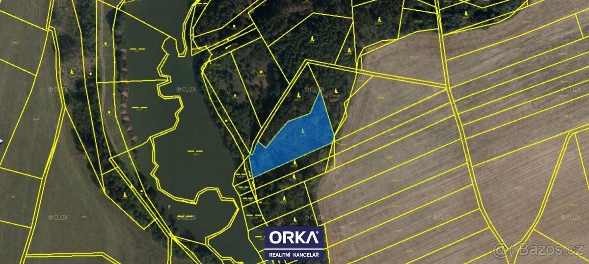 Prodej, Lesy, 8854m2 - Otinoves - 3