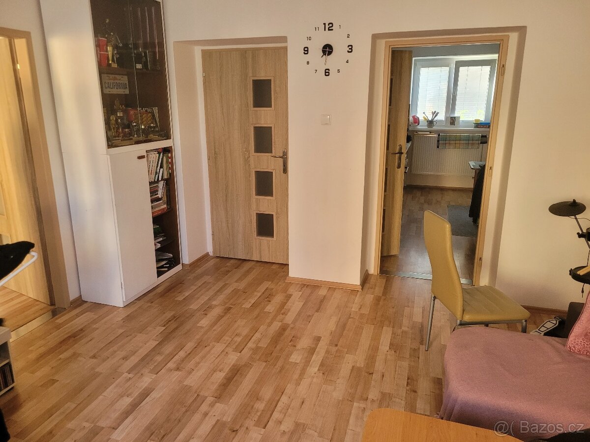 Pronájem bytu 2+1 - 3