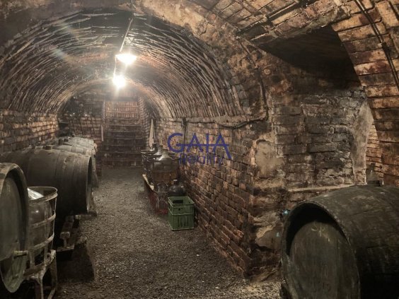 Krumvíř - Prodej vinného sklepa s menší zahrádkou - 62m2 - 3