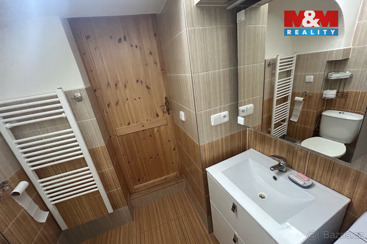 Pronájem bytu 1+1, 30 m², Louny - 3