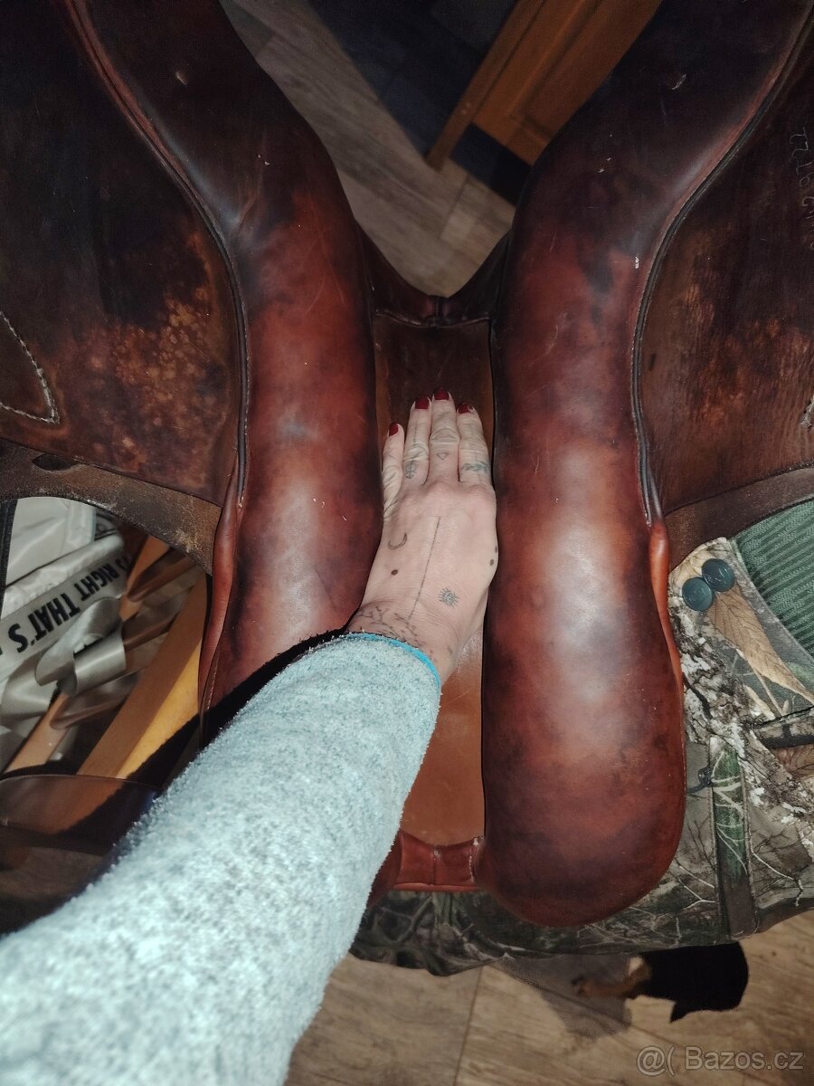 Hnědé sedlo kentaur - 3