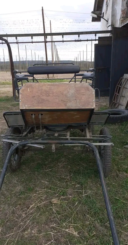 Vagoneta, bryčka - 3