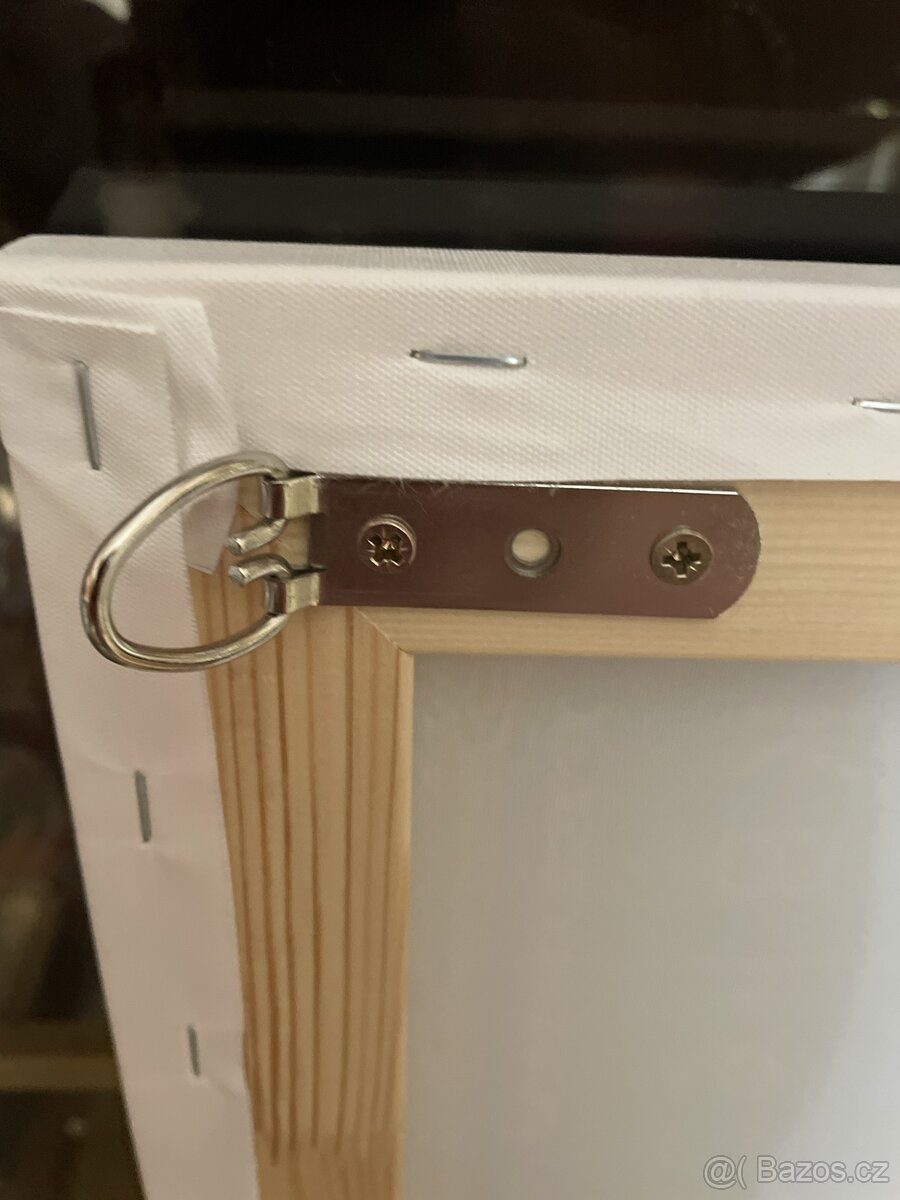 Obraz na plátně 100 $ - 3