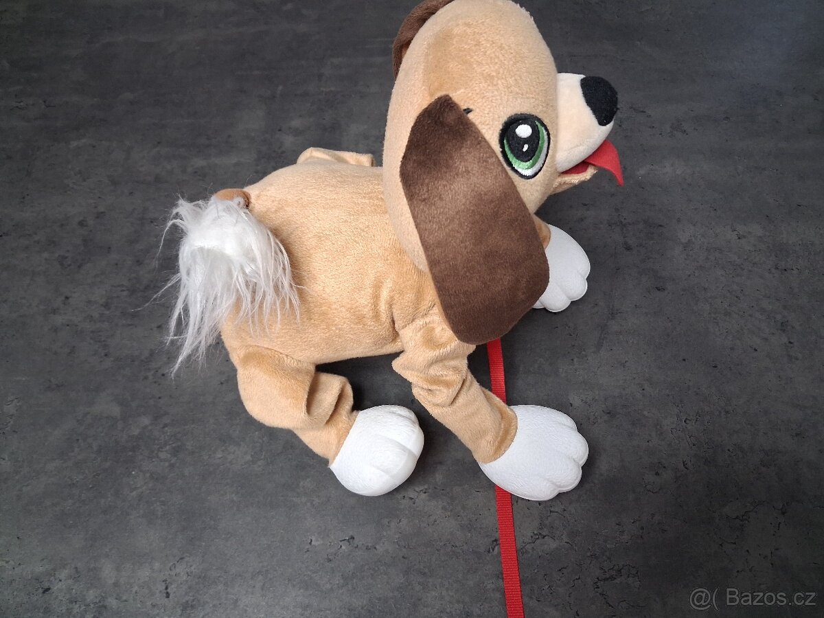 Pejsek Floppy - 3