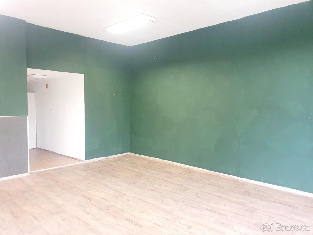 Pronájem nebytového prostoru – prodejna Olomouc - 3