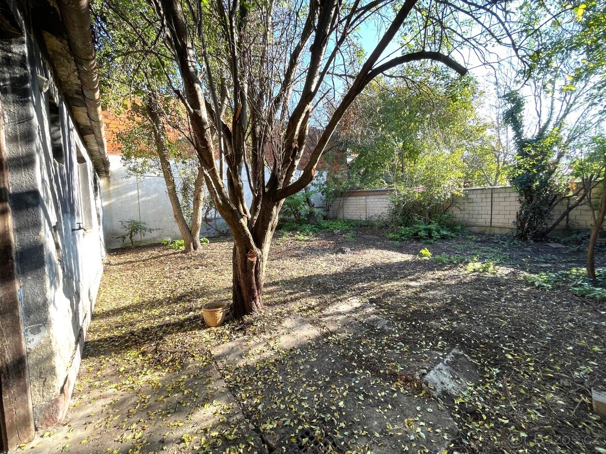 PRODEJ RODINNÉHO DOMU ŠUMICE - 3