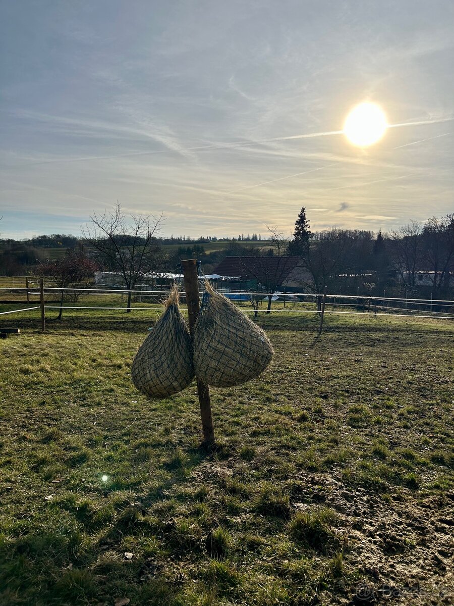 Paddock Paradise - 3