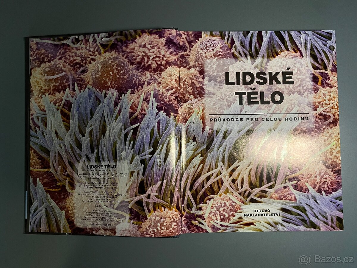 Lidské tělo – průvodce pro celou rodinu | Velká obrazová kni - 3