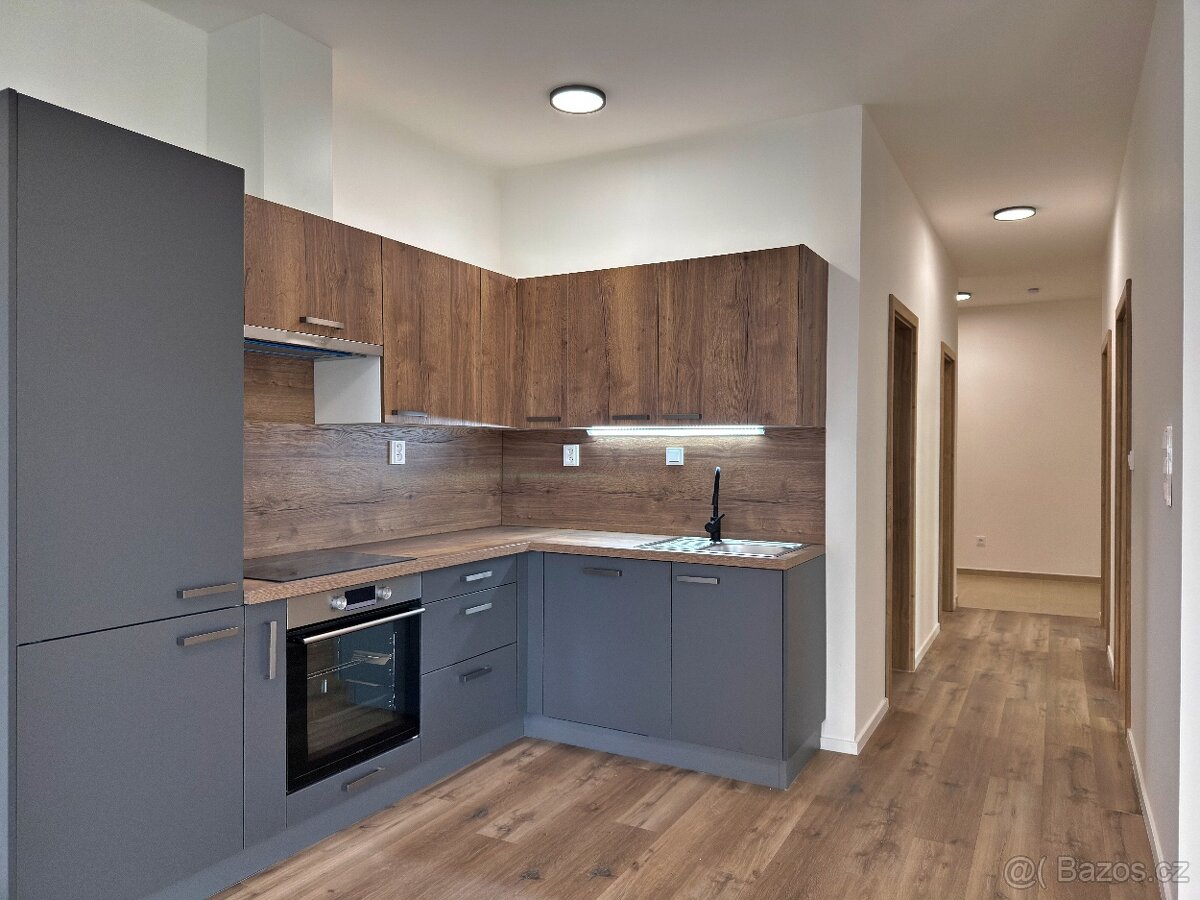 Pronájem bytové jednotky 3+kk - 3