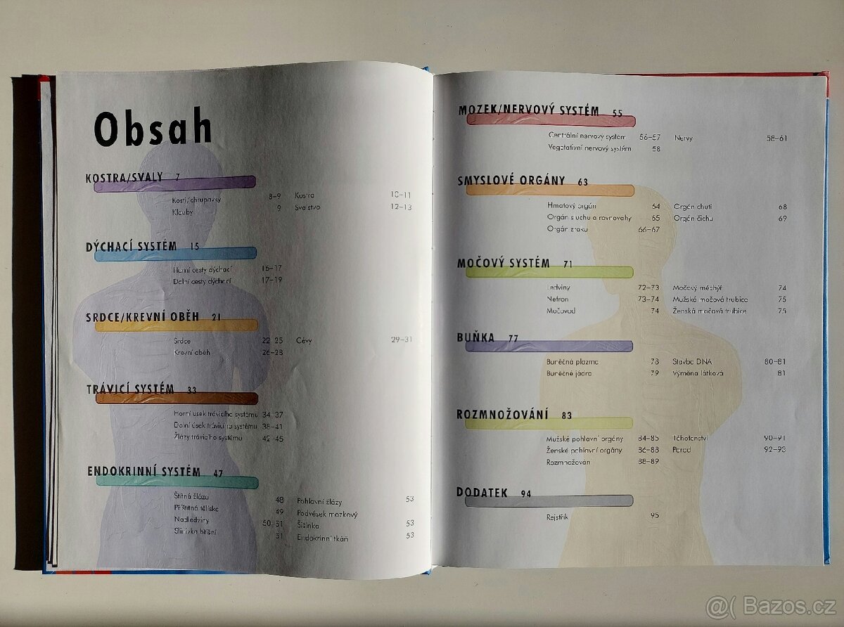 VĚDOMOSTI V KOSTCE – Lidské tělo - 3