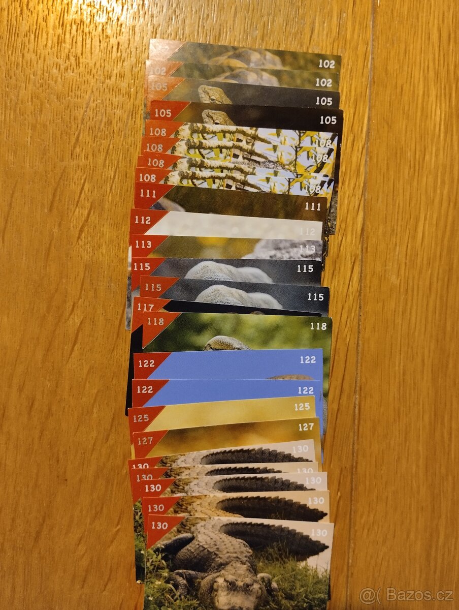 Animal kingdom - kartičky - 3