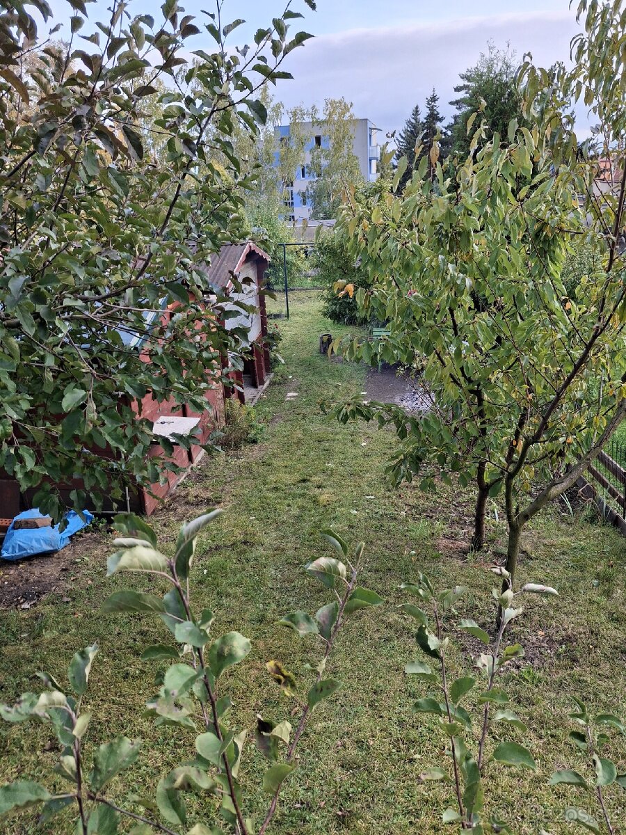Prodam zahradu Krupka Nad plovarnou - 3