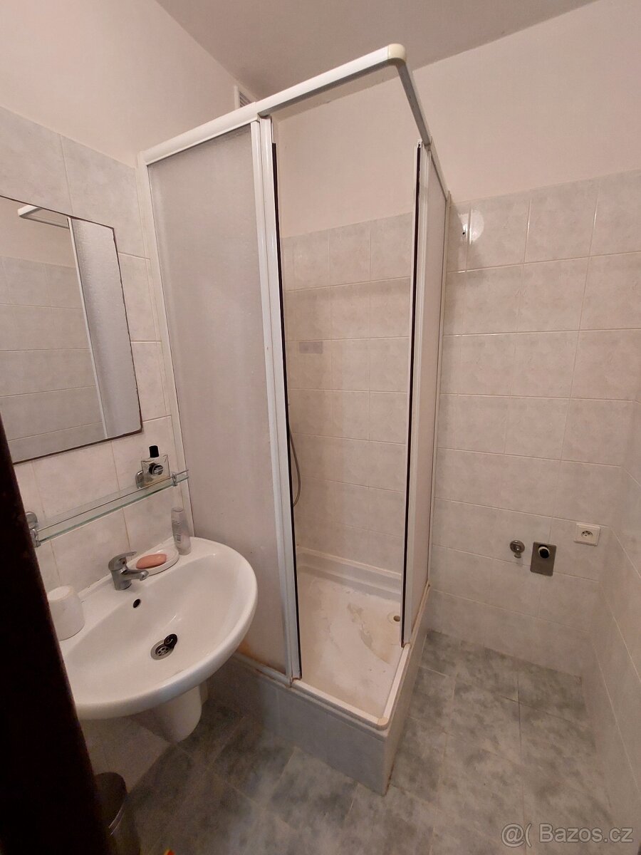 Pronajem bytu Kolin Druzstevni ulice - 3