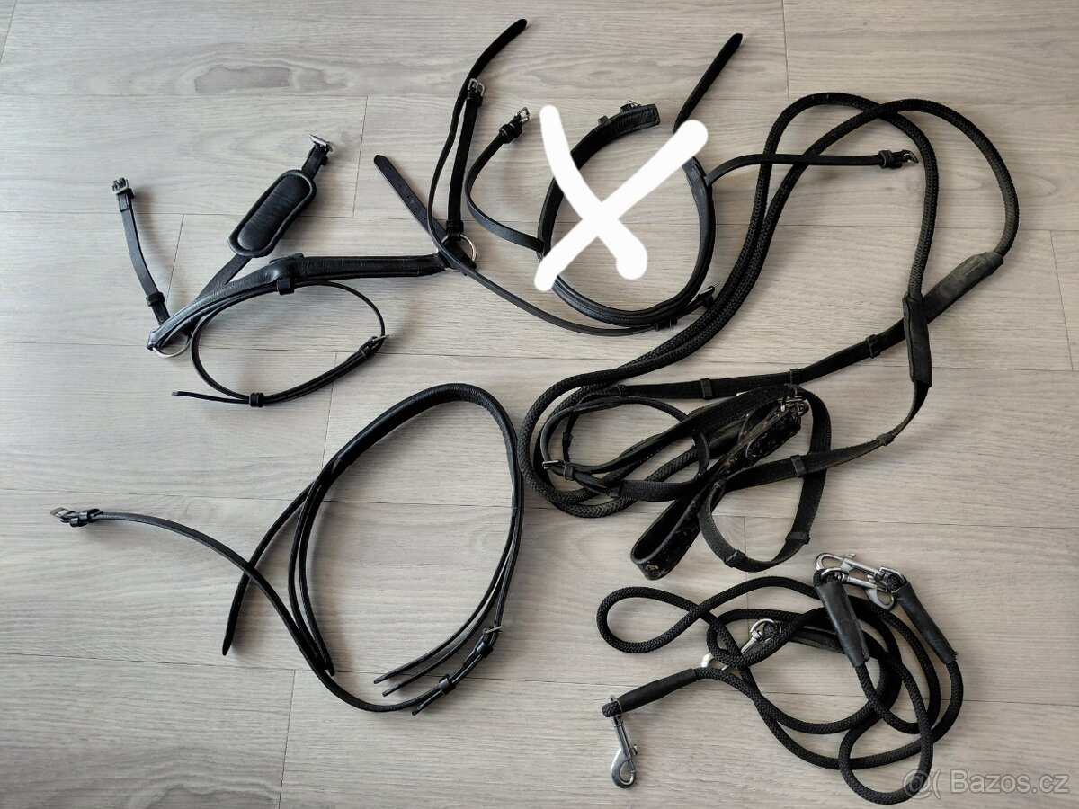 Mnoho věcí na kone a jezdce - 3